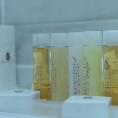 Kaya Prestige 4* Izmir