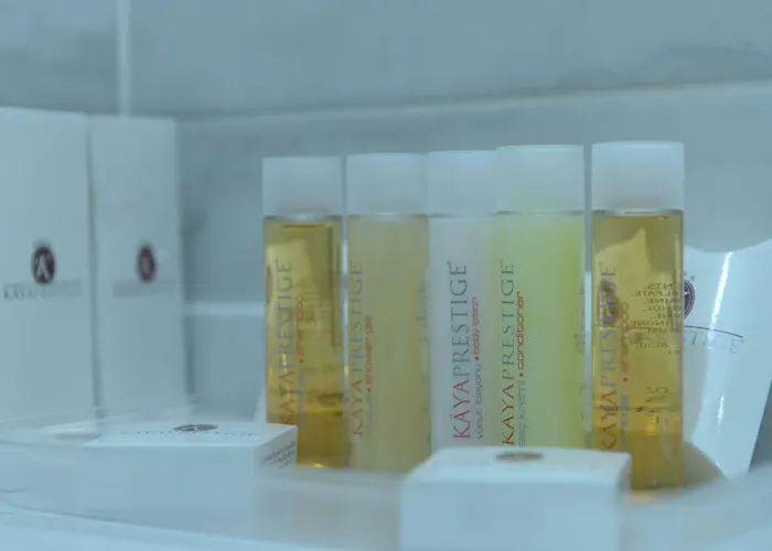 Kaya Prestige 4* İzmir